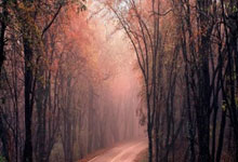 HWG，罗马诺：厄瓜多尔岁前锋奥班多租借加盟迈阿密国际.