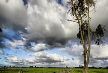 爱游戏体育：NBA：文班亚马确诊右肩深静脉血栓 预计赛季报销.