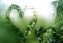 [综合]安浩鸣：三大球曾经带来美好回忆.