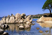 爱游戏体育：[乒乓球]张本智和晋级男单16强.